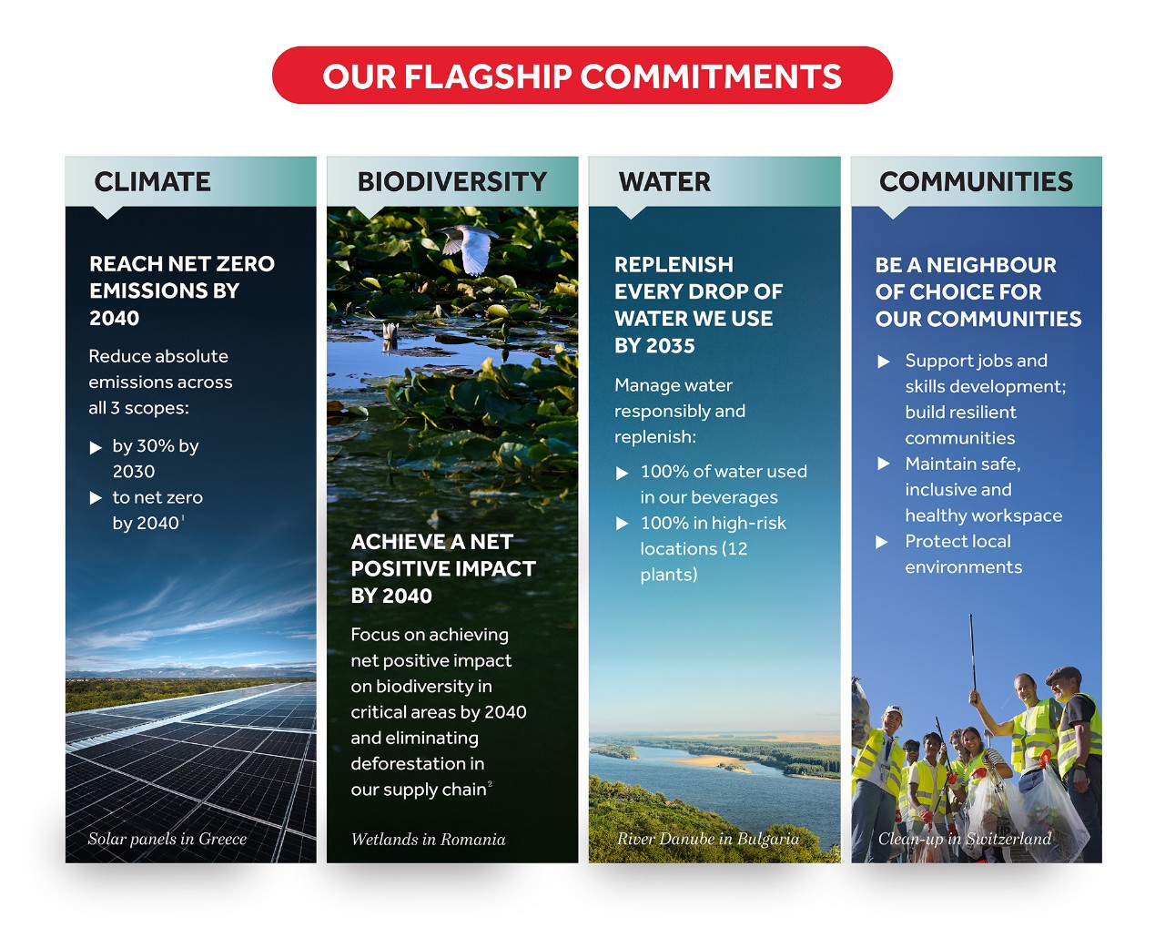 Our Flagship Commitments
